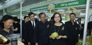 เปิด “ตลาดเกษตรอินทรีย์” Organic Market ที่ อ.ต.ก. 26 มี.ค.-9 เม.ย. และเตรียมเปิดถาวร