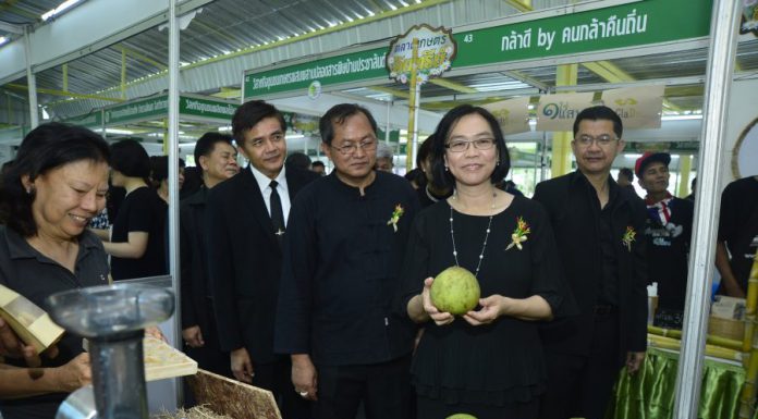 เปิด “ตลาดเกษตรอินทรีย์” Organic Market ที่ อ.ต.ก. 26 มี.ค.-9 เม.ย. และเตรียมเปิดถาวร