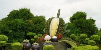 รัฐบาลเตรียมผลักดันไทยเป็นมหาอำนาจการค้าผลไม้โลก