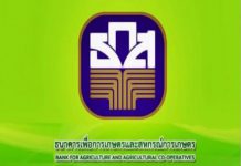 ธ.ก.ส.ส่งพนักงานสำรวจความเสียหายของเกษตรกรจากพายุปาบึก เพื่อขยายระยะเวลาชำระหนี้