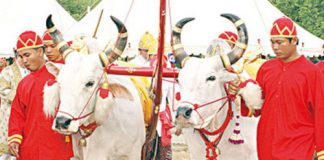 กระทรวงเกษตรฯเตรียมจัดงานพระราชพิธีพืชมงคลจรดพระนังคัลแรกนาขวัญ 8-9 พ.ค.