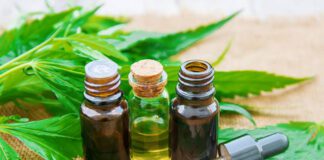 รัฐบาลตั้งเป้าเป็นผู้ผลิตสมุนไพรชั้นนำ ปูทางสู่ศูนย์กลางการผลิตยาจากกัญชามาตรฐานโลก