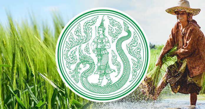ก.เกษตร ให้สินเชื่อสร้างอาชีพการเกษตร สูงสุดรายละ 1 แสนบาท ติดต่อ สนง.ปศุสัตว์ หรือ ธ.ก.ส.