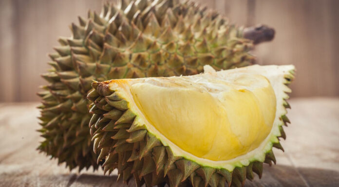 อินเดียสนใจทุเรียนไทยเพิ่มมากขึ้น เร่งเดินหน้าหาตลาดส่งออกตามมาตรการผลไม้เชิงรุก