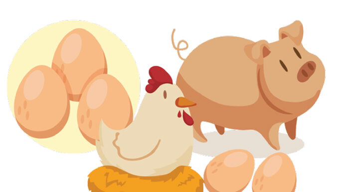ประยุทธ์ สั่งทุกหน่วยงานเกี่ยวข้อง เร่งแก้ปัญหา “หมู-ไก่-ไข่” ราคาแพง