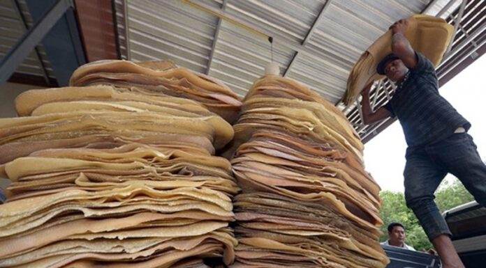 ไทยส่งออกยางพาราอันดับ 1 ของโลก หนุนใช้ FTA และ RCEP ขยายโอกาสตลาดต่างประเทศ