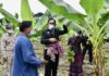 นายกฯ ตรวจเยี่ยมกล้วยไข่แปลงใหญ่ จ.กำแพงเพชร ส่งเสริมเกษตรแปลงใหญ่