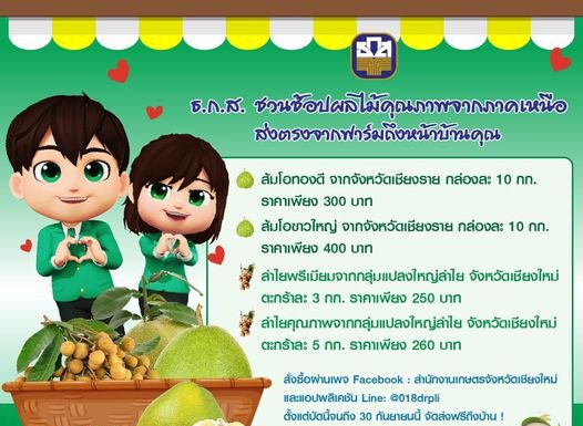 ธ.ก.ส. ชวนช้อปผลไม้สดคุณภาพดีจากภาคเหนือ พร้อมส่งฟรีถึงหน้าบ้าน