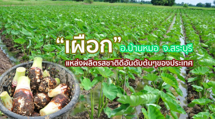 หนุนสินค้าอัตลักษณ์ท้องถิ่น-ยกระดับวิสาหกิจชุมชน