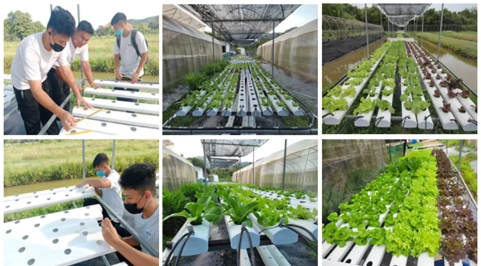 นายกฯ ยินดีศูนย์ BCG Farming เกาะสมุย ประสบผลสำเร็จ