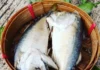 ปลาทูแม่กลองของสมุทรสงครามได้ขึ้นทะเบียนเป็นสินค้า GI แล้ว