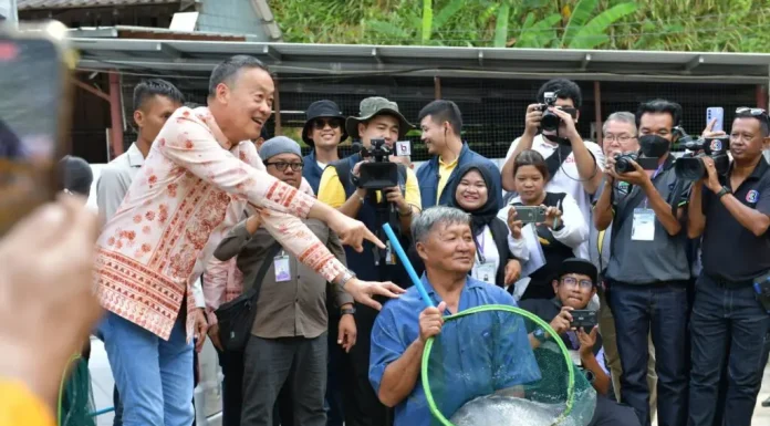 กรมทรัพย์สินทางปัญญารับลูกนายกฯ เตรียมขึ้นทะเบียน GI “ปลานิลสายน้ำไหลเบตง” และ “ปลาพลวงชมพูฮาลาบาลา”