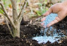 ก.พาณิชย์ยันปุ๋ยเคมีในประเทศมีเพียงพอ ใช้ได้ไม่น้อยกว่า 5 เดือน คุมเข้มป้องกันฉวยโอกาส